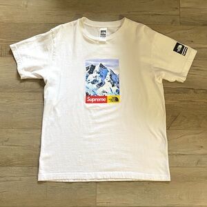 Supreme The North Face Mountain Tee (Like New)